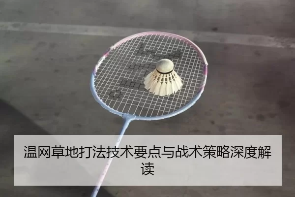 温网草地打法技术要点与战术策略深度解读